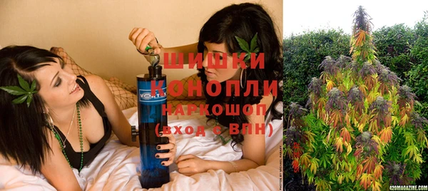 винт Вяземский