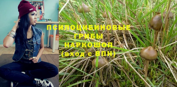 винт Вяземский